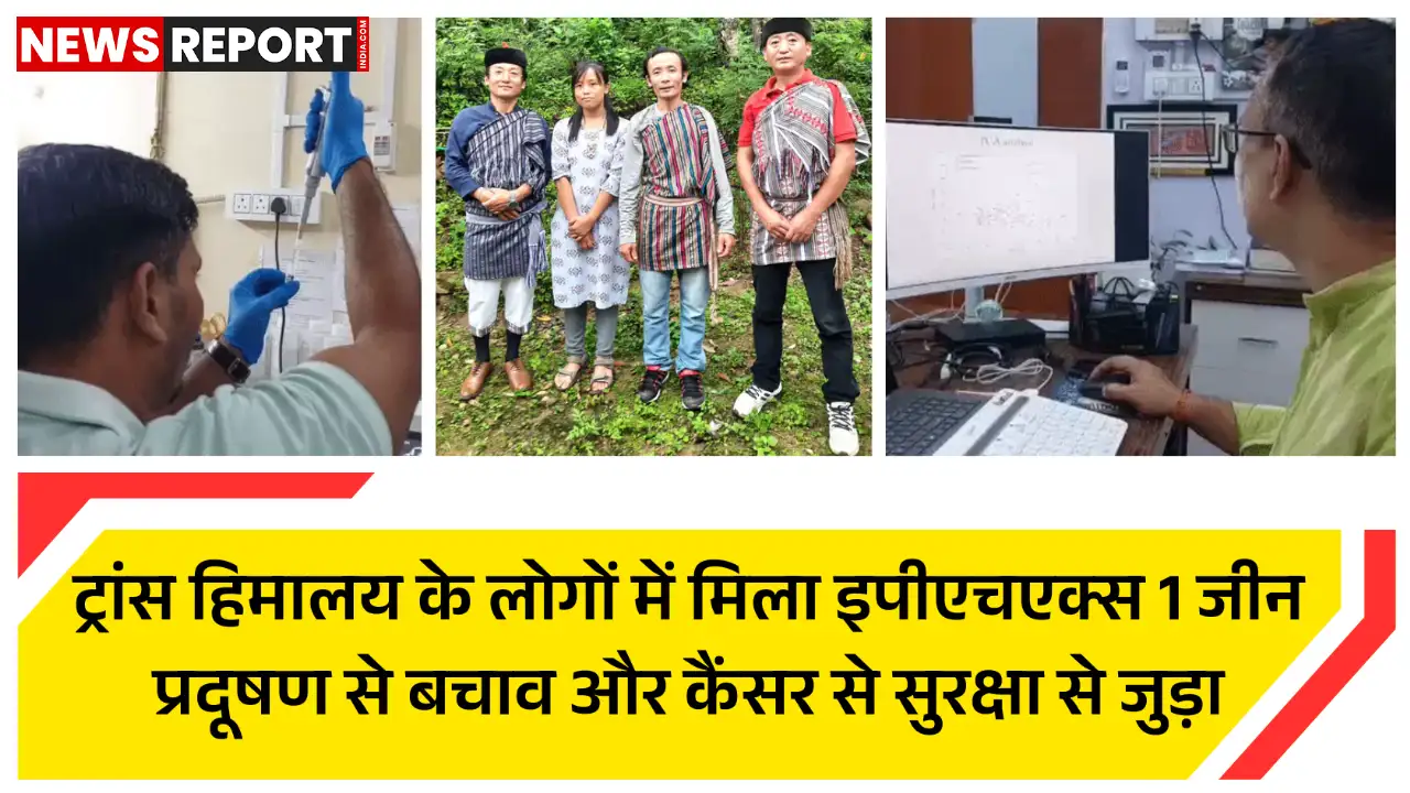 ट्रांस-हिमालय क्षेत्र के लोगों में इपीएचएक्स 1 जीन मिला, जो प्रदूषण व कैंसर से बचाता है लेकिन शराब की लत भी बढ़ाता है; बीएचयू ने किया शोध।