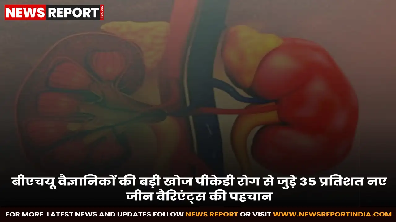काशी हिंदू विश्वविद्यालय के वैज्ञानिकों ने लाइलाज पीकेडी रोग के पैंतीस प्रतिशत नए जीनोम वैरिएंट्स की पहचान कर उपचार की दिशा में अहम सफलता हासिल की है।
