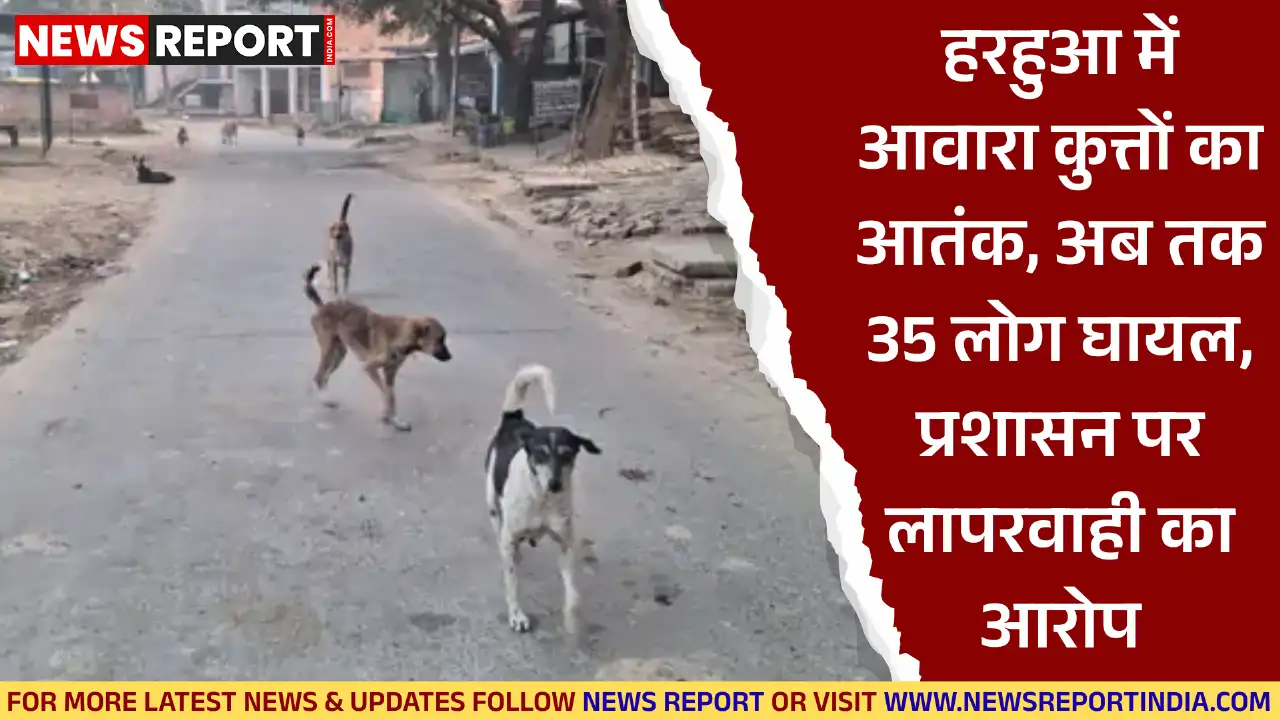 वाराणसी के हरहुआ में आवारा कुत्तों का आतंक बढ़ा, प्रतिदिन औसतन 35 लोग एंटी-रेबीज इंजेक्शन लगवा रहे हैं, प्रशासन निष्क्रिय।