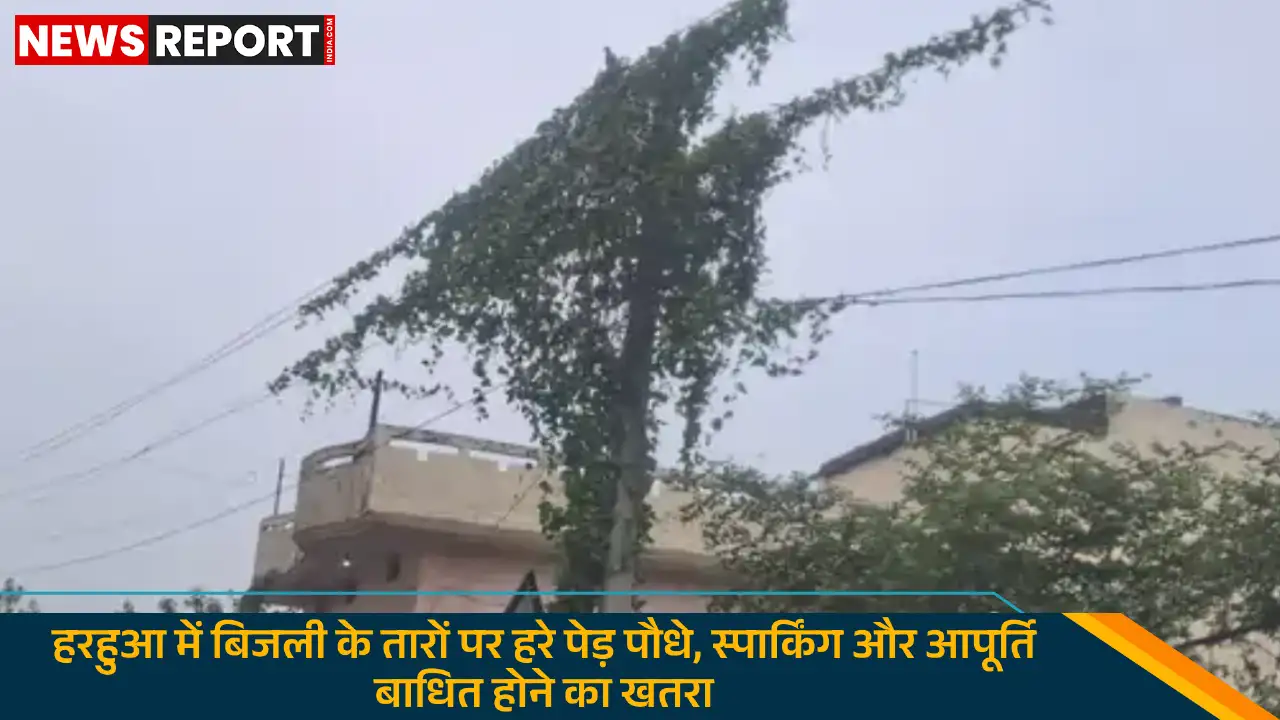 हरहुआ उपकेंद्र से निकली बिजली की तारों पर पेड़ों का घेरा है, जिससे आपूर्ति बाधित होने का खतरा और ग्रामीण लापरवाही से नाराज हैं।