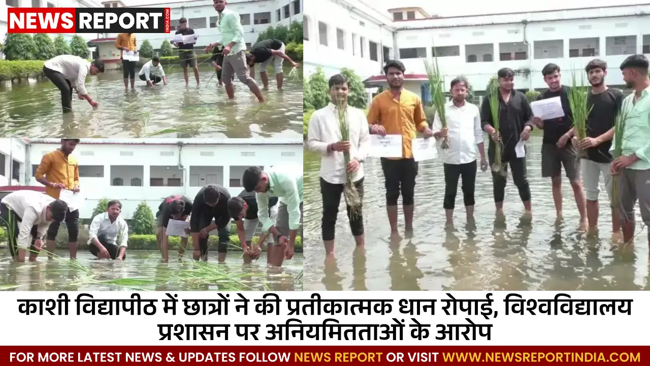 वाराणसी: काशी विद्यापीठ में छात्रों का अनोखा प्रदर्शन, नीतियों के खिलाफ प्रतीकात्मक धान रोपी