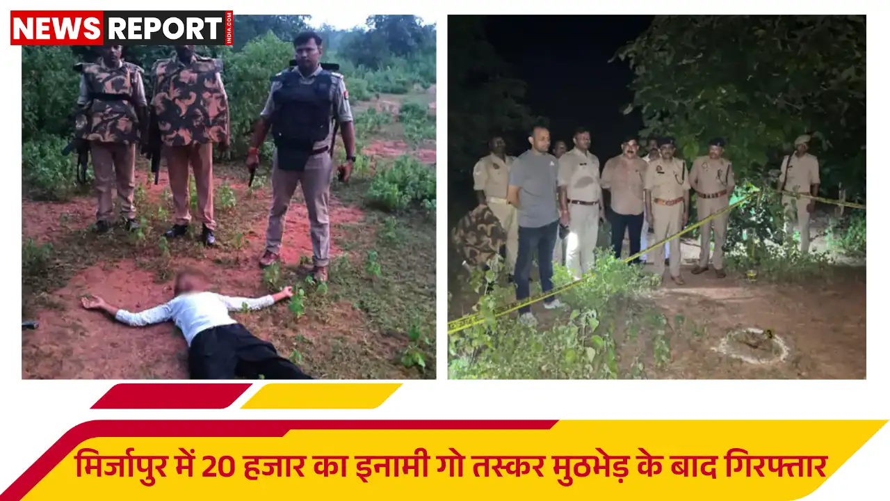 मिर्जापुर में राजगढ़ पुलिस ने 20 हजार के इनामी गो तस्कर रिंकू यादव को मुठभेड़ के बाद गिरफ्तार किया, उसके पैर में गोली लगी।