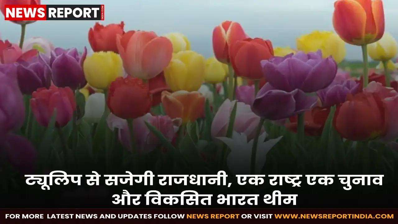 नई दिल्ली नगर परिषद इस बार ट्यूलिप को खास संदेशों और थीम आधारित डिजाइनों के माध्यम से प्रस्तुत कर रही है।