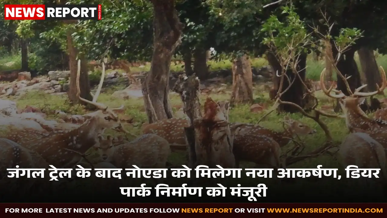 नोएडा: बायोडायवर्सिटी पार्क में तैयार होगा डियर पार्क, 40 करोड़ से बनेगा मिनी जू नोएडा: बायोडायवर्सिटी पार्क में तैयार होगा डियर पार्क, 40 करोड़ से बनेगा मिनी जू