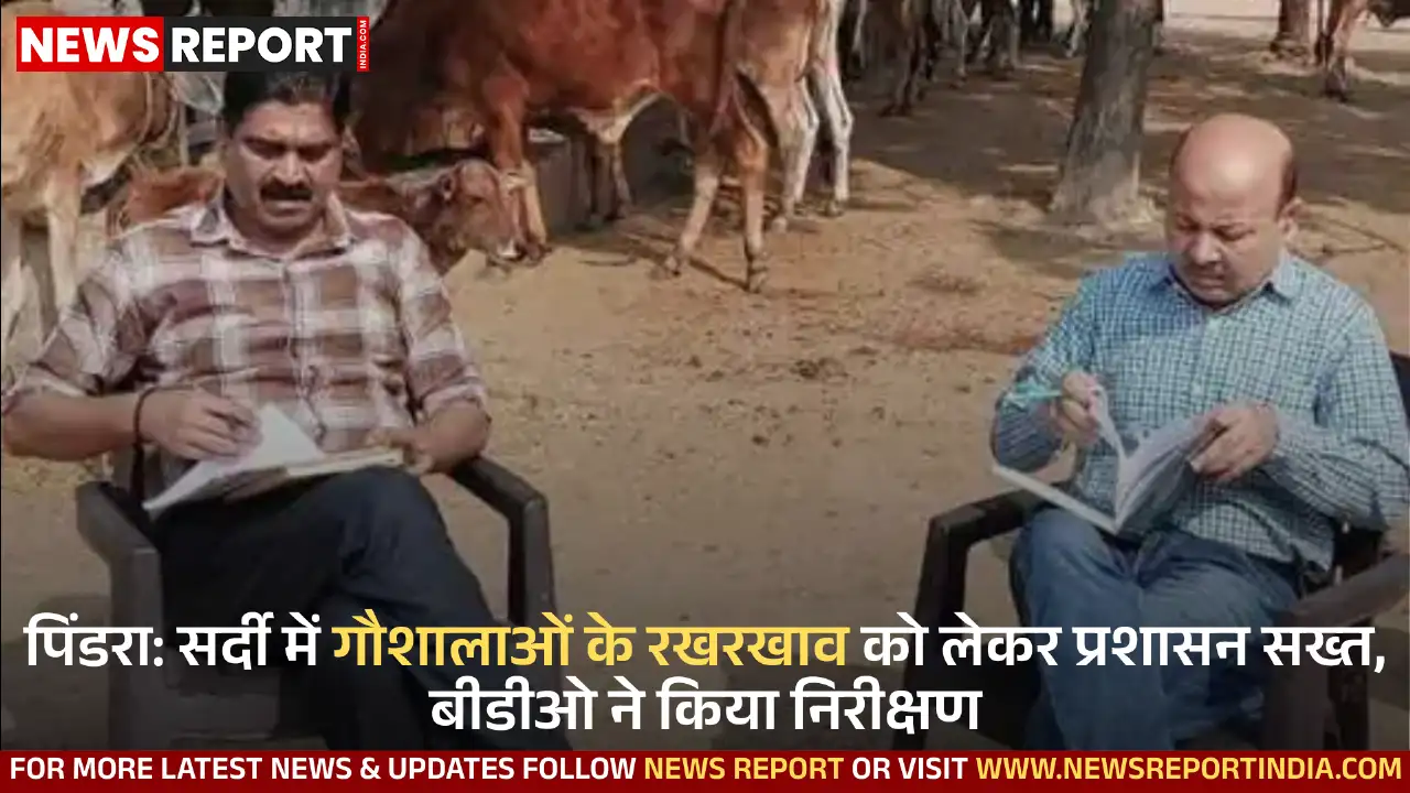 पिंडरा में बीडीओ और डिप्टी सीवीओ ने गौशालाओं का निरीक्षण कर सर्दी से बचाव व बेहतर व्यवस्थाओं के निर्देश दिए।