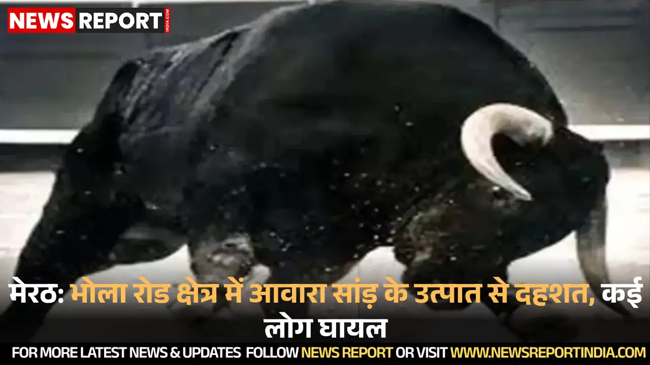 मेरठ के भोला रोड क्षेत्र में आवारा सांड़ के हमले से दहशत, कई लोग घायल, आवाजाही प्रभावित रही।