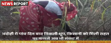 भदोही में पांच दिन बाद निकली धूप, किसानों को मिली राहत पर फसलें अब भी संकट में