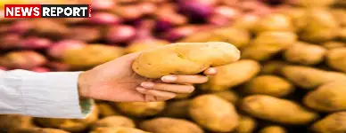 चंदौली में खाद्य सुरक्षा विभाग ने तेजाबयुक्त आलू पकड़ा, नष्ट कर सैंपल जांच को भेजा