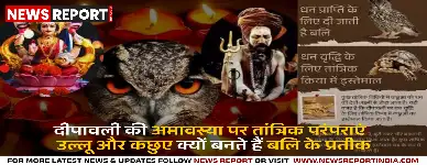 दीपावली की अमावस्या पर तांत्रिक परंपराएं: उल्लू और कछुए क्यों बनते हैं बलि के प्रतीक