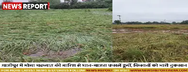 गाजीपुर में मोथा चक्रवात की बारिश से धान-बाजरा फसलें डूबीं, किसानों को भारी नुकसान