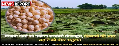 सरकार मखाना उत्पादन को बढ़ावा देने के लिए किसानों को आर्थिक अनुदान और तकनीकी सहायता प्रदान कर रही है, खासकर निचले और जलभराव वाले क्षेत्रों में।
