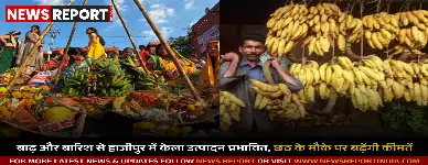 हाजीपुर: लगातार बारिश से केले की खेती को बड़ा नुकसान, किसान कर रहे बीमा की मांग