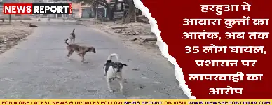 वाराणसी के हरहुआ में आवारा कुत्तों का आतंक बढ़ा, प्रतिदिन औसतन 35 लोग एंटी-रेबीज इंजेक्शन लगवा रहे हैं, प्रशासन निष्क्रिय।