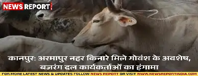 कानपुर: अरमापुर नहर किनारे मिले गोवंश के अवशेष, बजरंग दल कार्यकर्ताओं का हंगामा