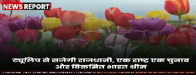 नई दिल्ली नगर परिषद इस बार ट्यूलिप को खास संदेशों और थीम आधारित डिजाइनों के माध्यम से प्रस्तुत कर रही है।