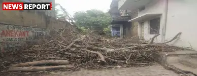 वाराणसी के रामनगर में 15 दिन से टूटी पीपल की टहनी ने रास्ता रोका है, जिससे आम जनता परेशान है और नगर निगम की अनदेखी पर सवाल उठ रहे हैं।