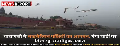 वाराणसी: गंगा घाटों पर साइबेरियन पक्षियों का आगमन, बढ़ा पर्यटकों का आकर्षण