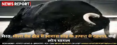 मेरठ के भोला रोड क्षेत्र में आवारा सांड़ के हमले से दहशत, कई लोग घायल, आवाजाही प्रभावित रही।