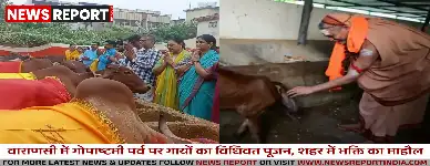 वाराणसी में गोपाष्टमी पर्व पर गायों का विधिवत पूजन, शहर में भक्ति का माहौल