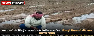 वाराणसी के चिरईगांव ब्लॉक में बेमौसम बारिश, सैकड़ों किसानों की धान फसल बर्बाद