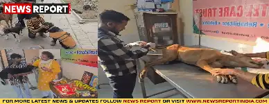 काशी में इंसानियत की मिसाल, श्री काल भैरव डॉग अनाथालय बेसहारा कुत्तों का सहारा