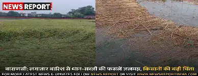 वाराणसी: लगातार बारिश से धान-सब्जी की फसलें जलमग्न, किसानों की बढ़ी चिंता