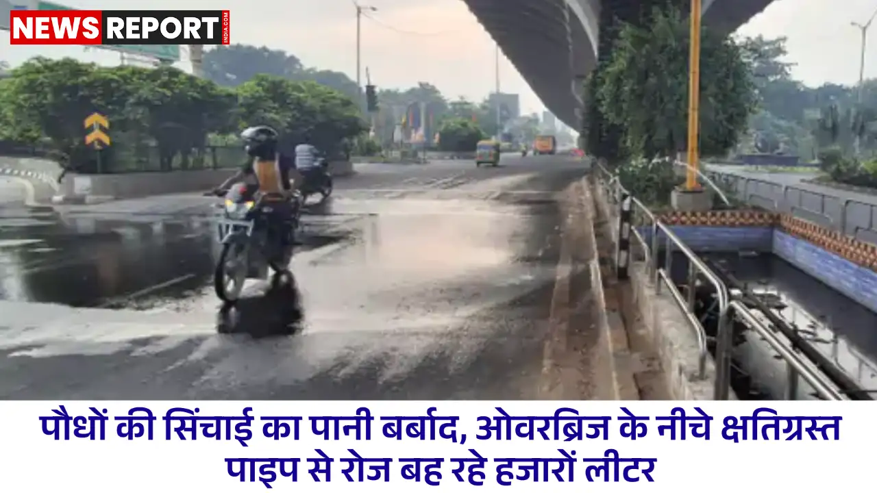 वाराणसी-बाबतपुर मार्ग पर पानी की बर्बादी, क्षतिग्रस्त पाइपलाइन से हजारों लीटर जल सड़क पर बहा वाराणसी-बाबतपुर मार्ग पर पानी की बर्बादी, क्षतिग्रस्त पाइपलाइन से हजारों लीटर जल सड़क पर बहा