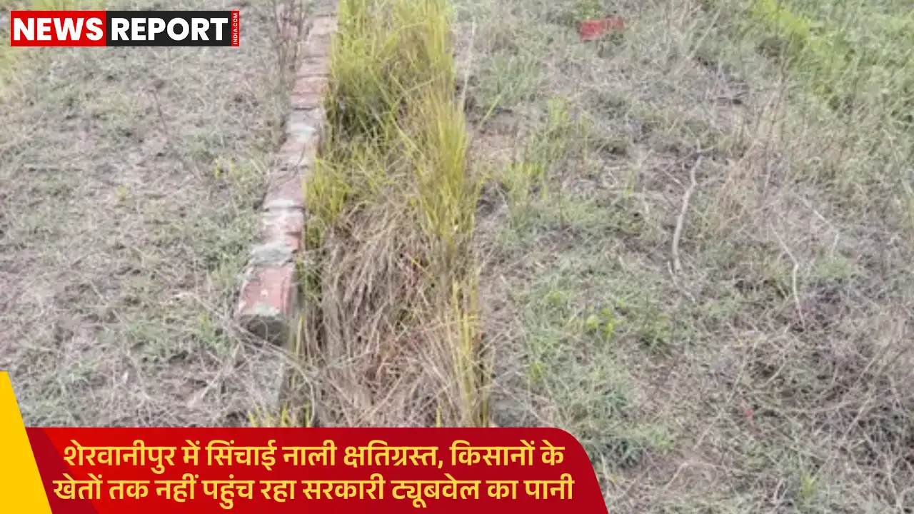 वाराणसी: शेरवानीपुर में सरकारी ट्यूबवेल की नाली टूटी, किसानों की सिंचाई प्रभावित