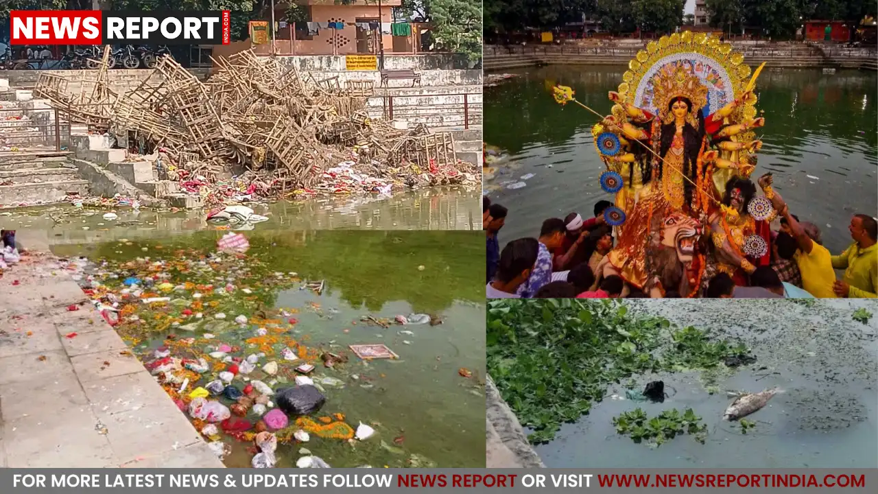 वाराणसी के शंकुलधारा तालाब में मूर्ति विसर्जन के बाद दर्जनों मछलियां मरीं, स्थानीय लोग सदमे में वाराणसी के शंकुलधारा तालाब में मूर्ति विसर्जन के बाद दर्जनों मछलियां मरीं, स्थानीय लोग सदमे में