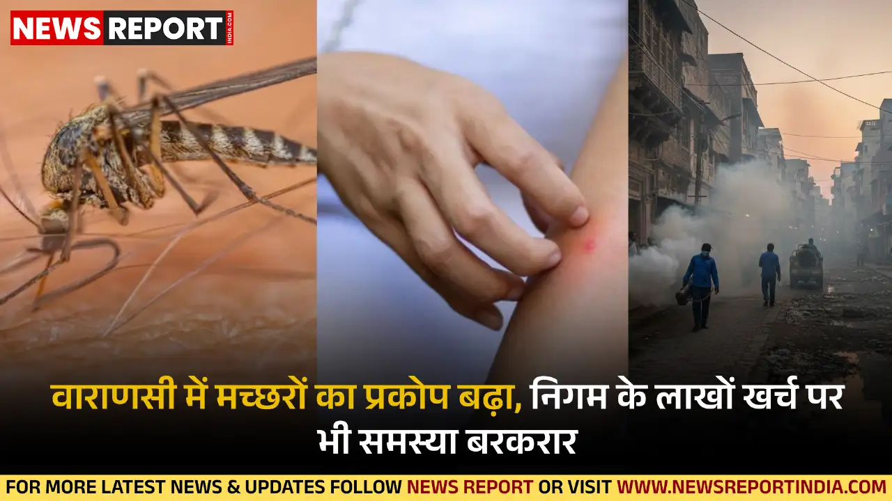 वाराणसी में मच्छरों का प्रकोप बढ़ा, निगम के लाखों खर्च पर भी समस्या बरकरार
