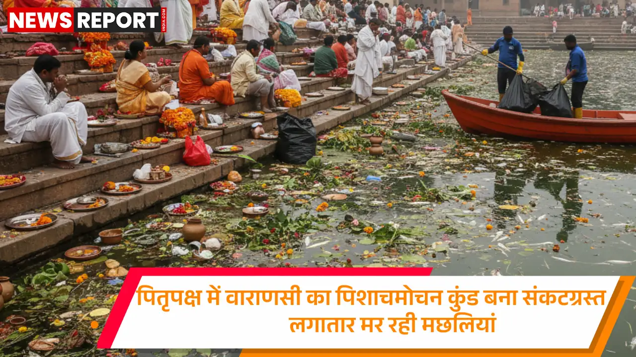 वाराणसी के पिशाचमोचन कुंड में पितृपक्ष के दौरान भारी प्रदूषण से लाखों मछलियों की मौत हो गई, जिससे श्रद्धालुओं को परेशानी हो रही है।