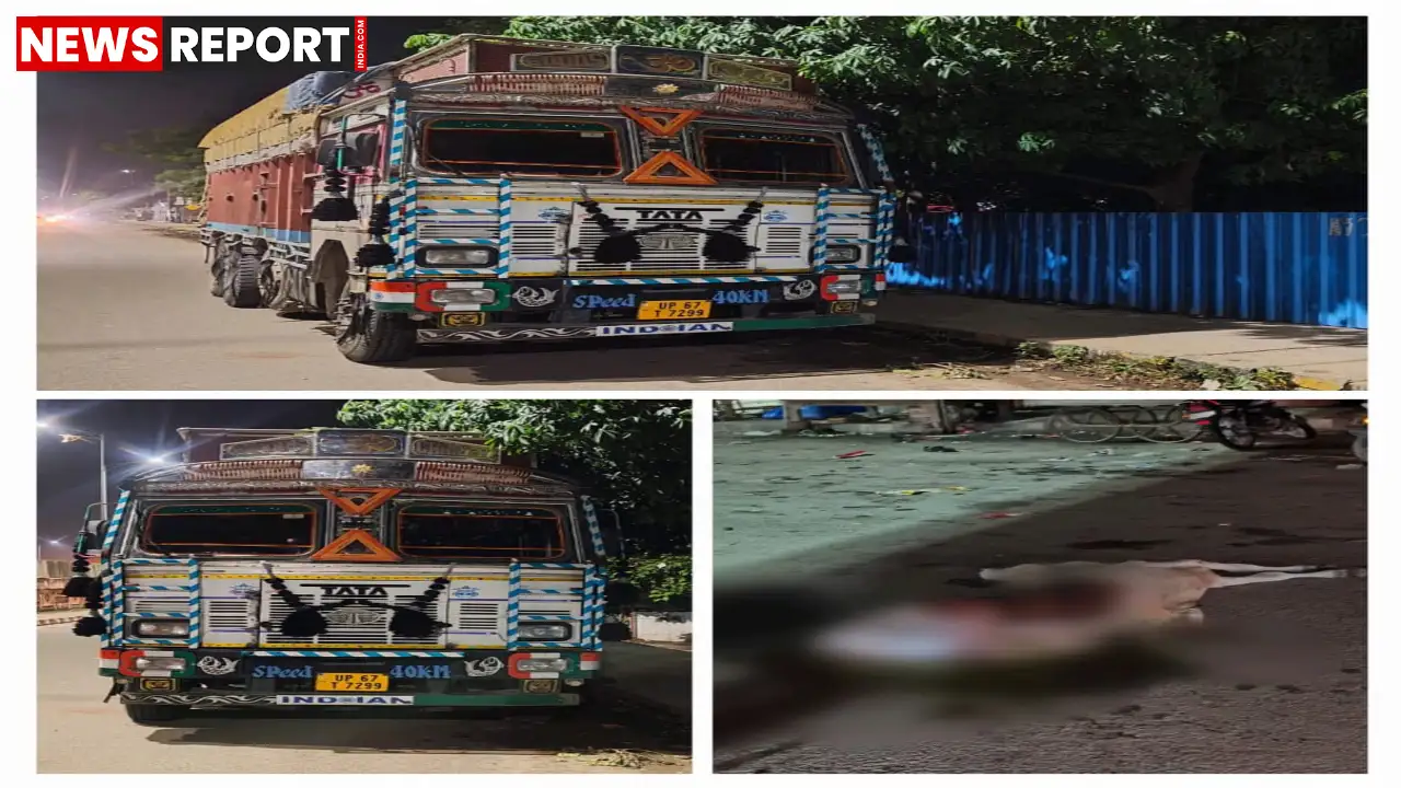वाराणसी के राजातालाब में देर रात सीमेंट लदे तेज रफ्तार ट्रक ने सड़क किनारे घूम रही गाय को कुचला, जिससे उसकी मौत हो गई और चालक गिरफ्तार हुआ।
