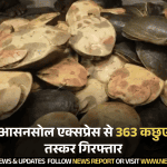 वाराणसी: आसनसोल एक्सप्रेस से 363 कछुए बरामद, 5 तस्कर गिरफ्तार