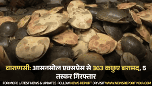 वाराणसी: आसनसोल एक्सप्रेस से 363 कछुए बरामद, 5 तस्कर गिरफ्तार