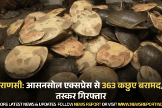 वाराणसी: आसनसोल एक्सप्रेस से 363 कछुए बरामद, 5 तस्कर गिरफ्तार