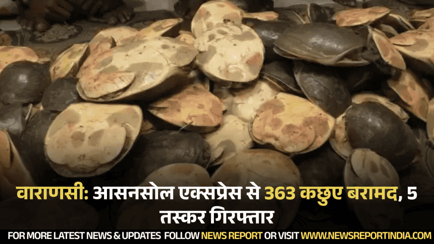 वाराणसी: आसनसोल एक्सप्रेस से 363 कछुए बरामद, 5 तस्कर गिरफ्तार