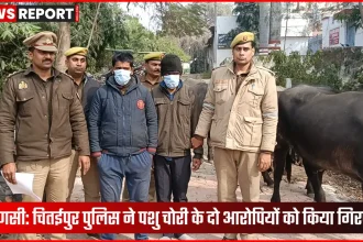 वाराणसी पुलिस द्वारा बरामद भैंसों के साथ गिरफ्तार आरोपी