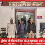 भदोही में पुलिस ने चोरी गई भैंस बरामद की