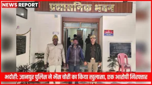 भदोही में पुलिस ने चोरी गई भैंस बरामद की