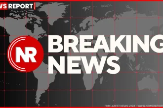 सोनभद्र में एनडीपीएस कोर्ट द्वारा गांजा तस्करी के दोषियों को सजा