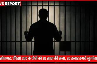 सोनभद्र कोर्ट में पॉक्सो एक्ट के दोषी को सजा सुनाते हुए न्यायाधीश