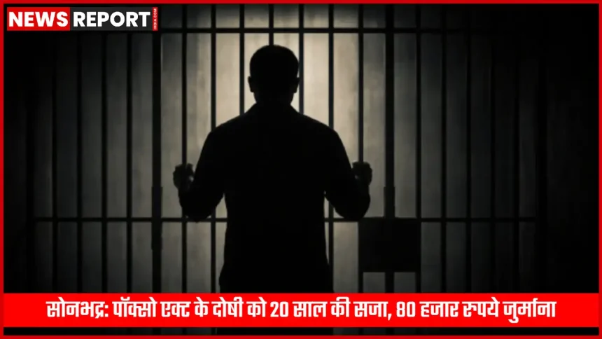 सोनभद्र कोर्ट में पॉक्सो एक्ट के दोषी को सजा सुनाते हुए न्यायाधीश