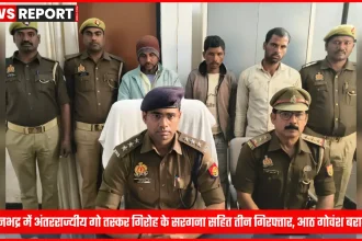 सोनभद्र पुलिस द्वारा पकड़े गए गो तस्कर और बरामद गोवंश