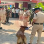 धनबाद सिविल कोर्ट परिसर में पुलिस और खोजी कुत्तों द्वारा चलाया जा रहा सर्च अभियान