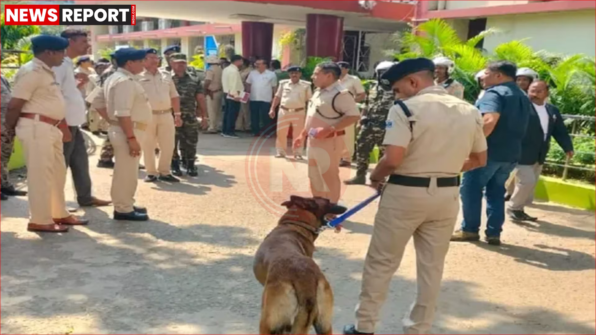 धनबाद सिविल कोर्ट परिसर में पुलिस और खोजी कुत्तों द्वारा चलाया जा रहा सर्च अभियान