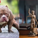 हाई कोर्ट भवन के साथ अवैध डॉग फाइटिंग पर फैसले को दर्शाती प्रतीकात्मक तस्वीर