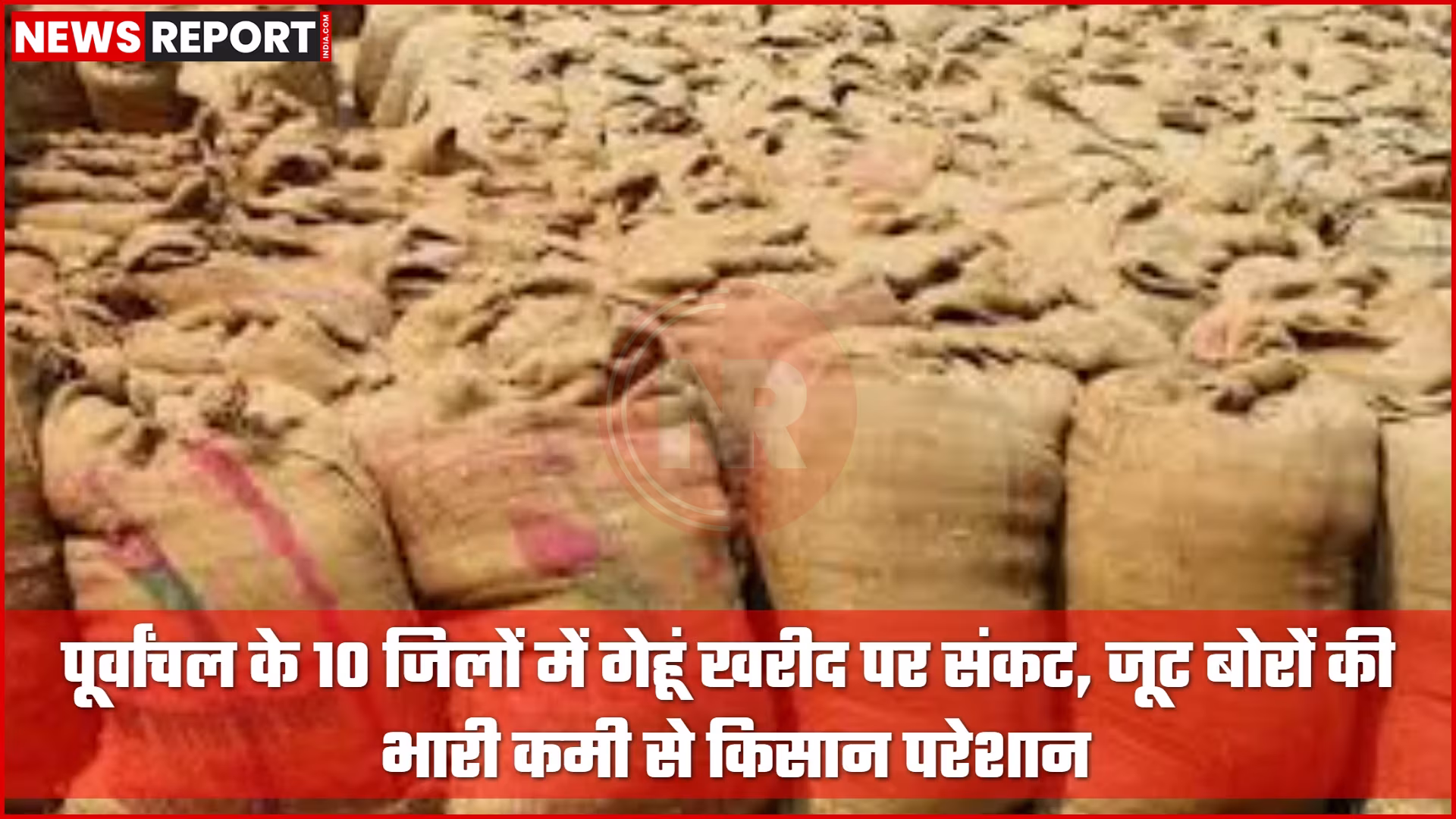 जूट बोरों की कमी से प्रभावित गेहूं खरीद केंद्र का दृश्य