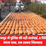 सोनपुर पुलिस द्वारा जब्त किया गया भारी मात्रा में गांजा और तस्करी में प्रयुक्त कारें