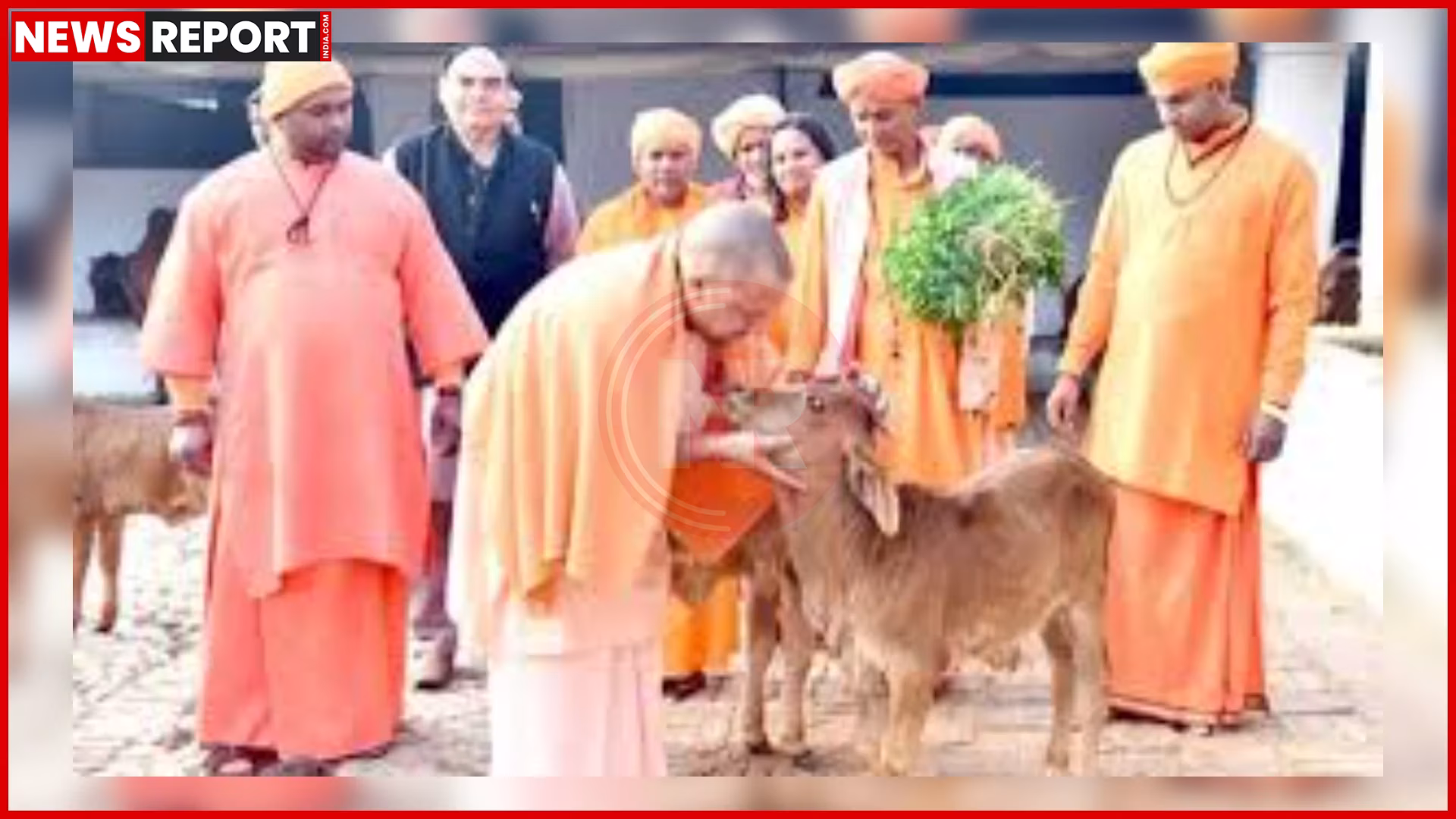 यूपी के गो-आश्रय स्थल में सीसीटीवी कैमरे और गोवंश