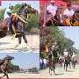 वाराणसी खेल मेले में घुड़दौड़ प्रतियोगिता का दृश्य